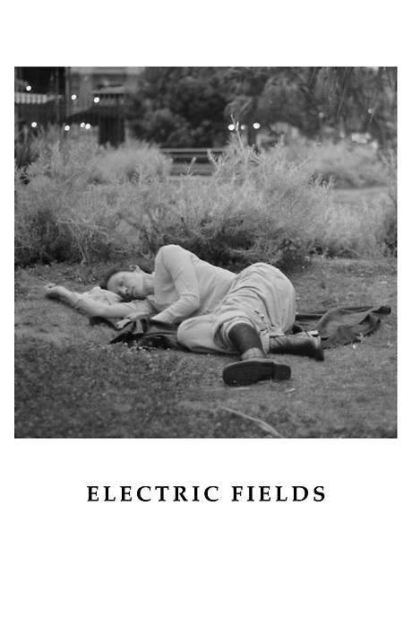 Electric Fields